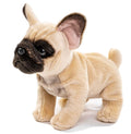Plüsch französischer Bulldogge
