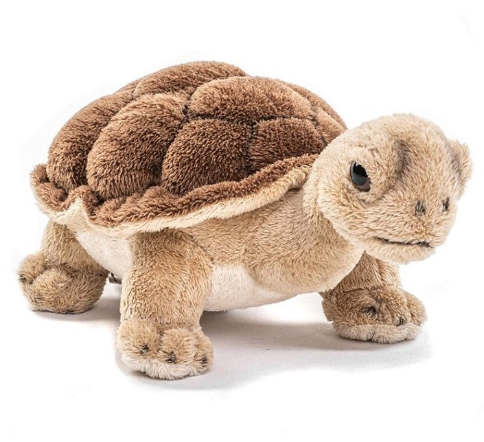 Plüsch Landschildkröte 21 cm – Bild 1 | LuxeStyle