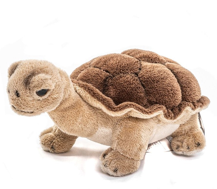 Plüsch Landschildkröte 21 cm – Bild 2 | LuxeStyle