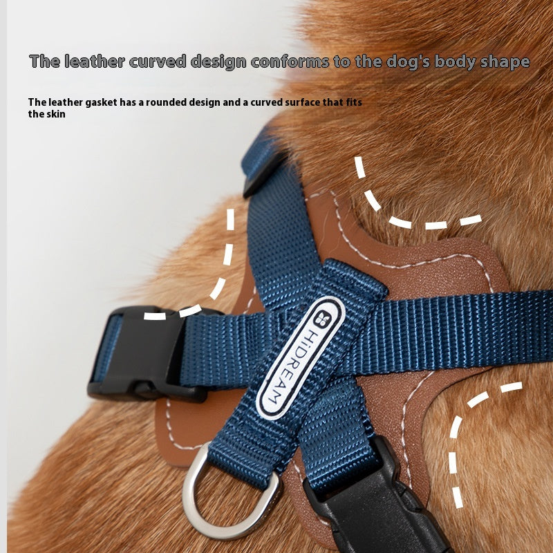 Hunde-Halfter mit Seil
