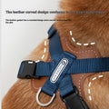 Hunde-Halfter mit Seil – Bild 1 | LuxeStyle