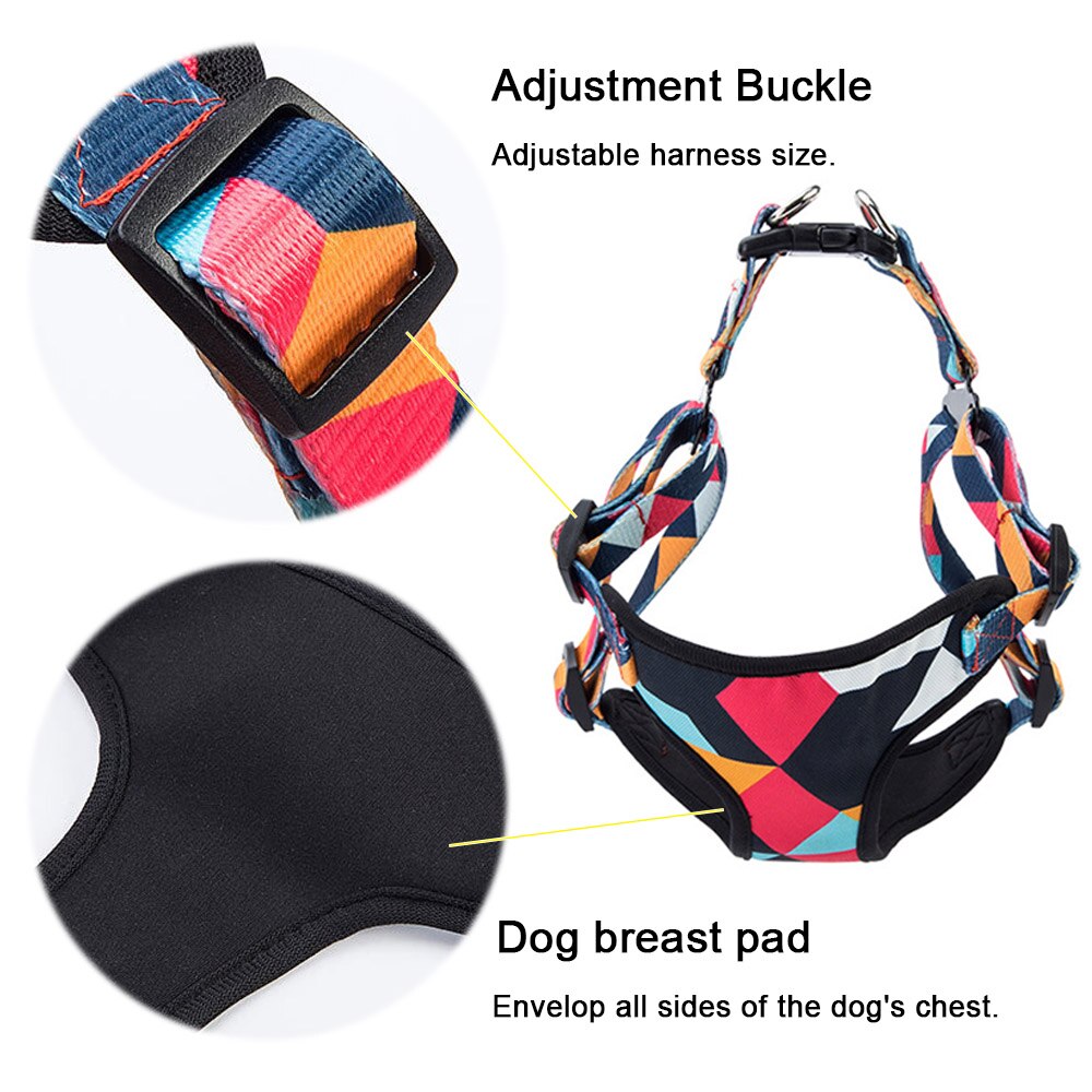 Hüftgurt für mittelgrosse Hunde mit Zugseil – Bild 2 | LuxeStyle