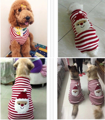 Hundestrickpullover für kleine bis grosse Hunde – Bild 4 | LuxeStyle