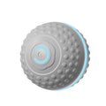 Rolling Ball Spielzeug für Hunde & Katzen – Bild 1 | LuxeStyle