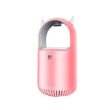 Farbe: Rosa