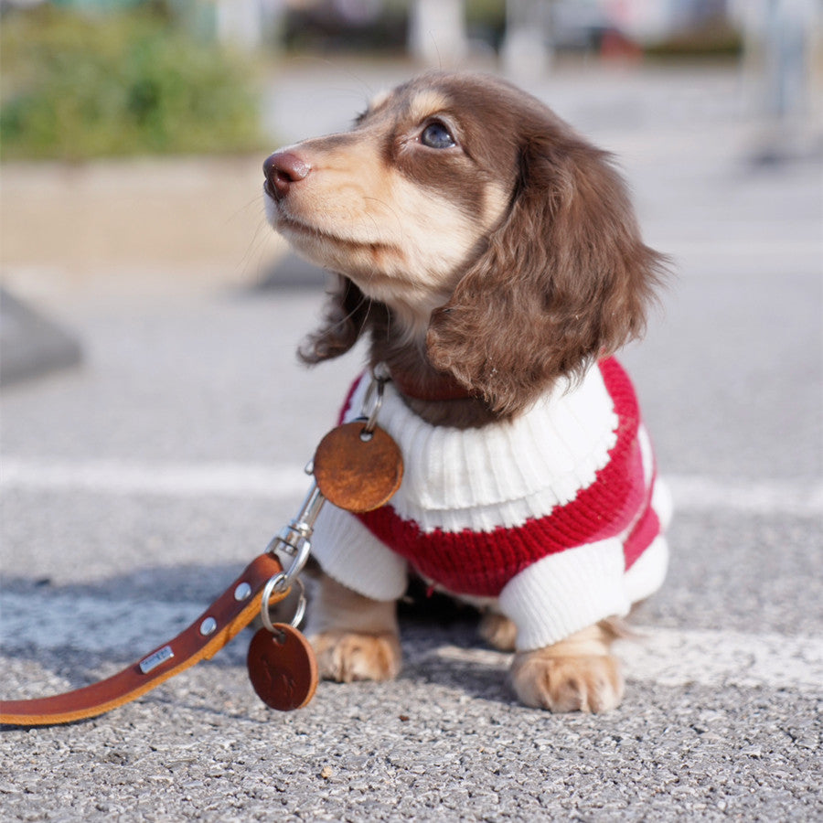 Rotes und weisses Streifenpullover für kleine Hunde – Bild 4 | LuxeStyle