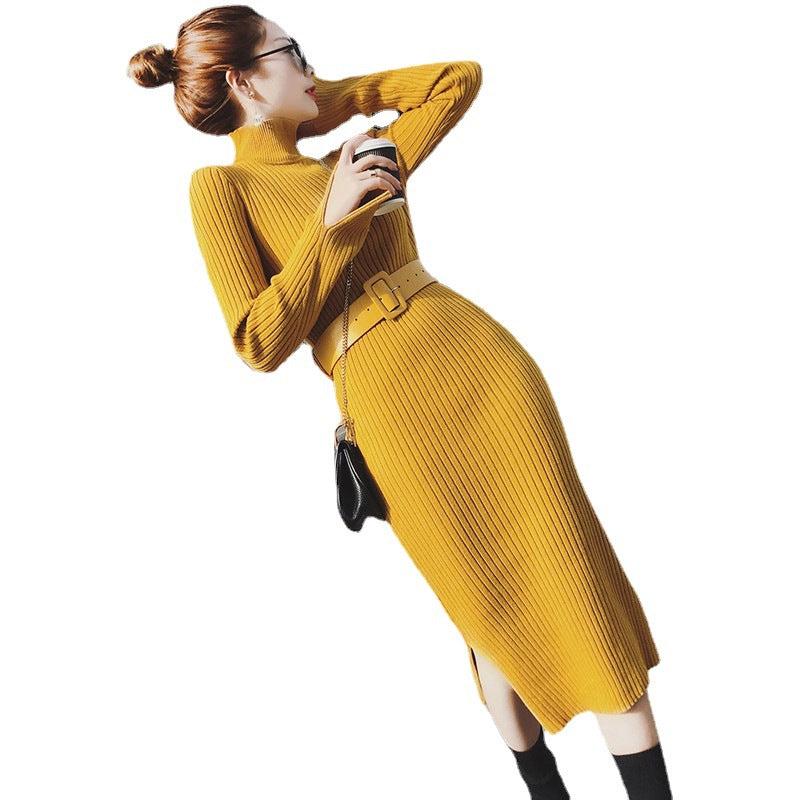 Rollkragen Strickkleid mit Schlitz