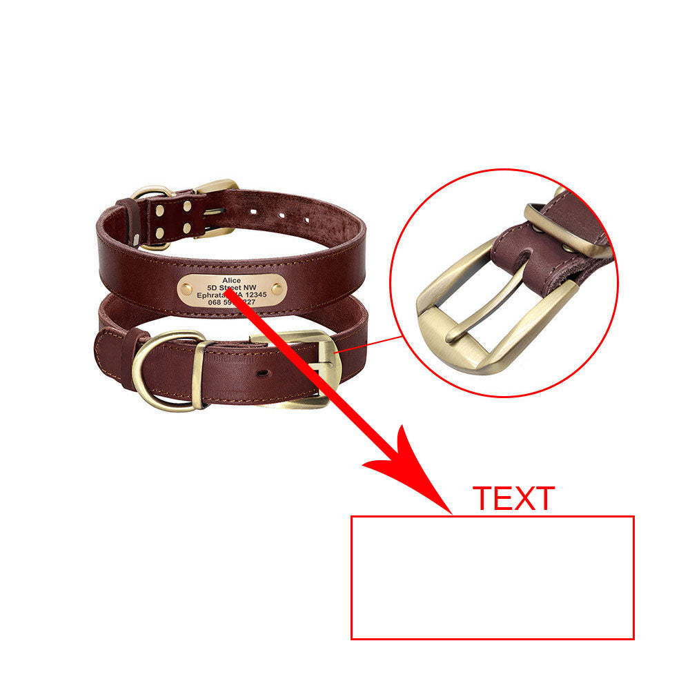 Personalisiertes Hundehalsband mit ID-Tag – Bild 7 | LuxeStyle
