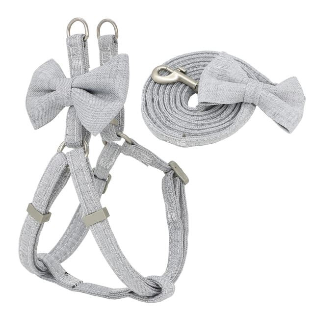 Hundehalsband-Set – Bild 12 | LuxeStyle