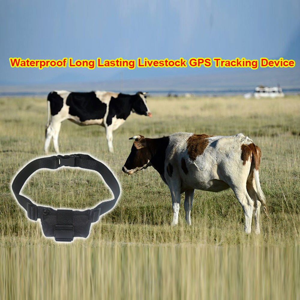 GPS-Halsband für Nutztiere – Ansicht 4