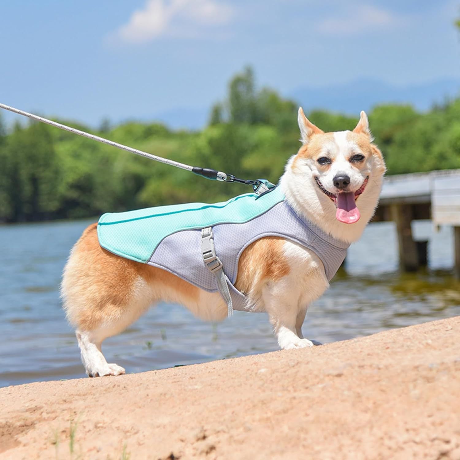 Leichte Sommertracht für Haustiere