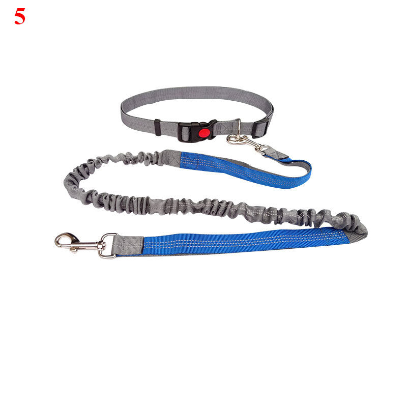 Elastische Laufleine für Hunde – Bild 12 | LuxeStyle