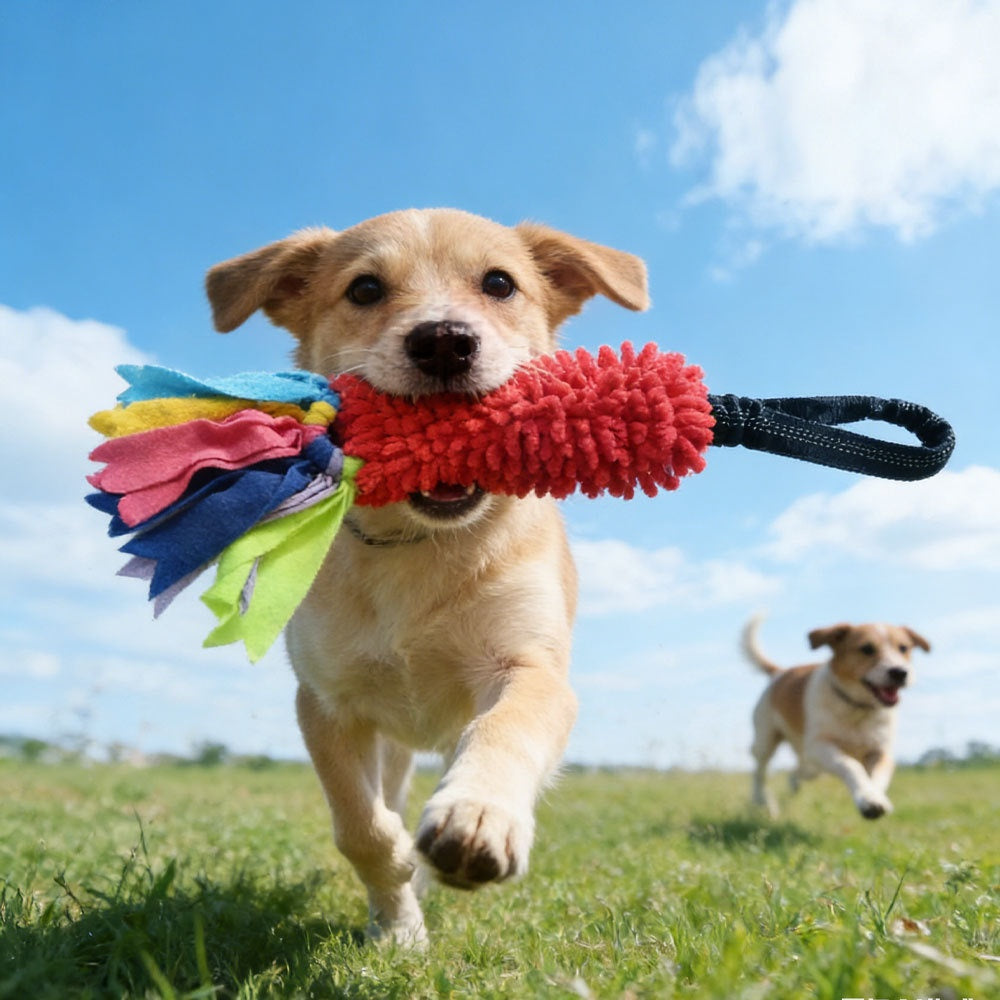 Interaktives Kaukabel für Hunde