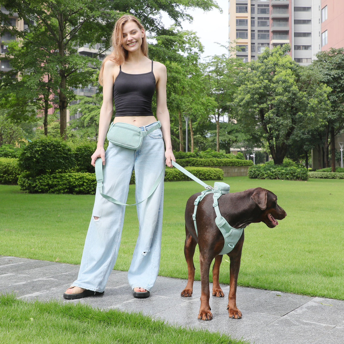 Hundegeschirr-Set mit Leine und Tasche – Bild 10 | LuxeStyle