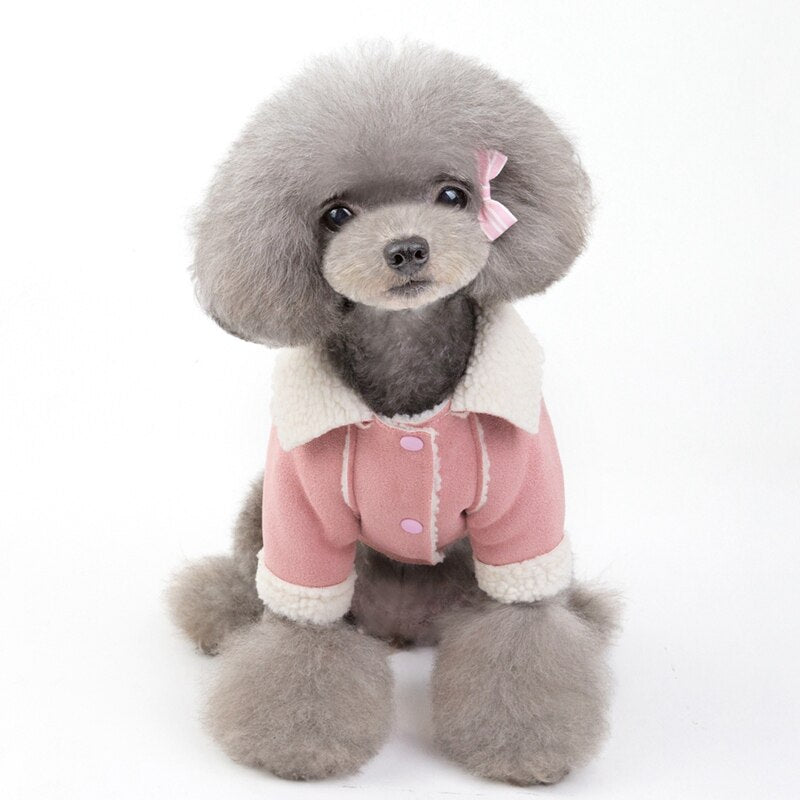 Samt-Jacke mit Revers für Hunde und Katzen