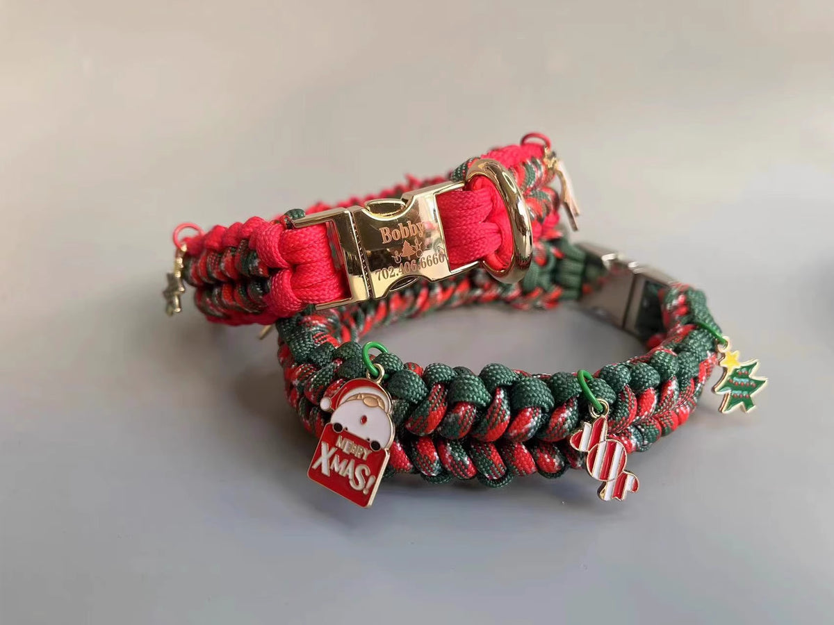 Hand-Halteseil Leine mit P-Kette – Bild 2 | LuxeStyle
