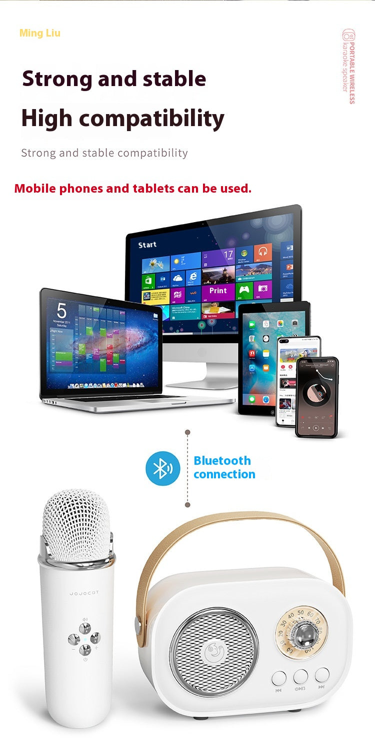 Portables Bluetooth Audio mit kabellosem Mikrofon