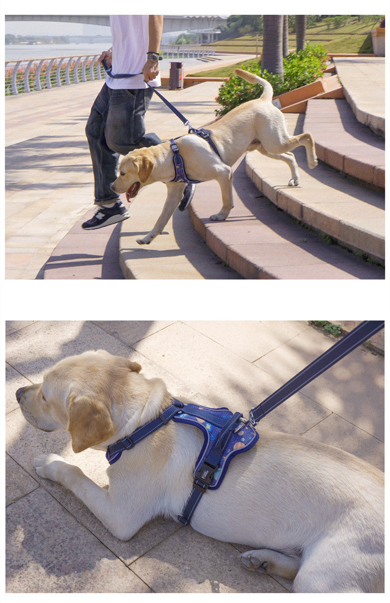 Hundegeschirr im Westen-Stil – Bild 6 | LuxeStyle