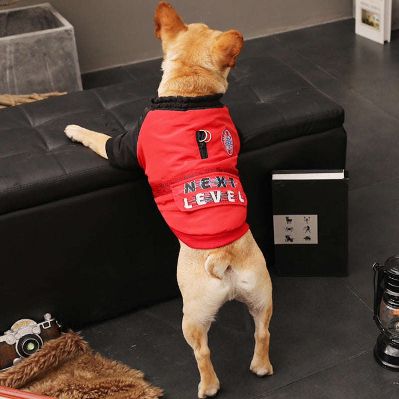 Hundepullover für Welpen und kleine Hunde