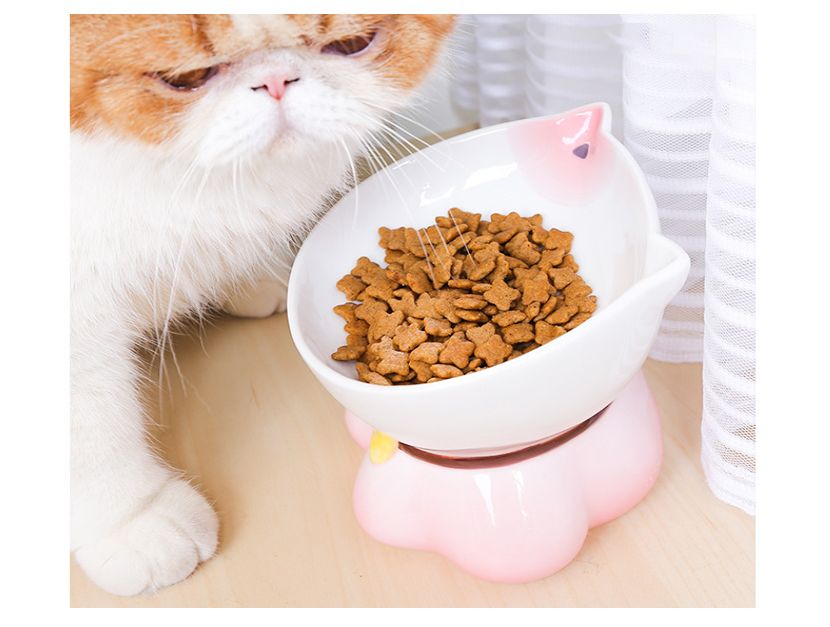 Keramik-Naschschale für Katze 300 ml – Bild 8 | LuxeStyle