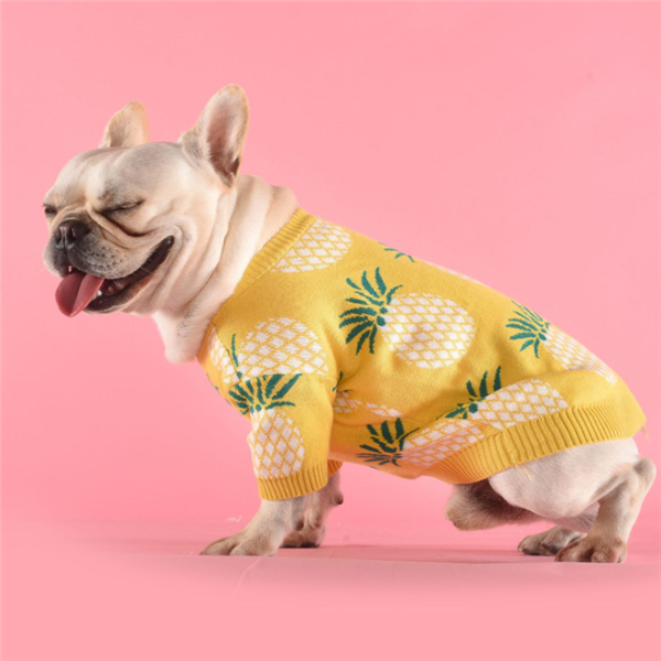 Ananaspullover aus Baumwolle – Bild 5 | LuxeStyle