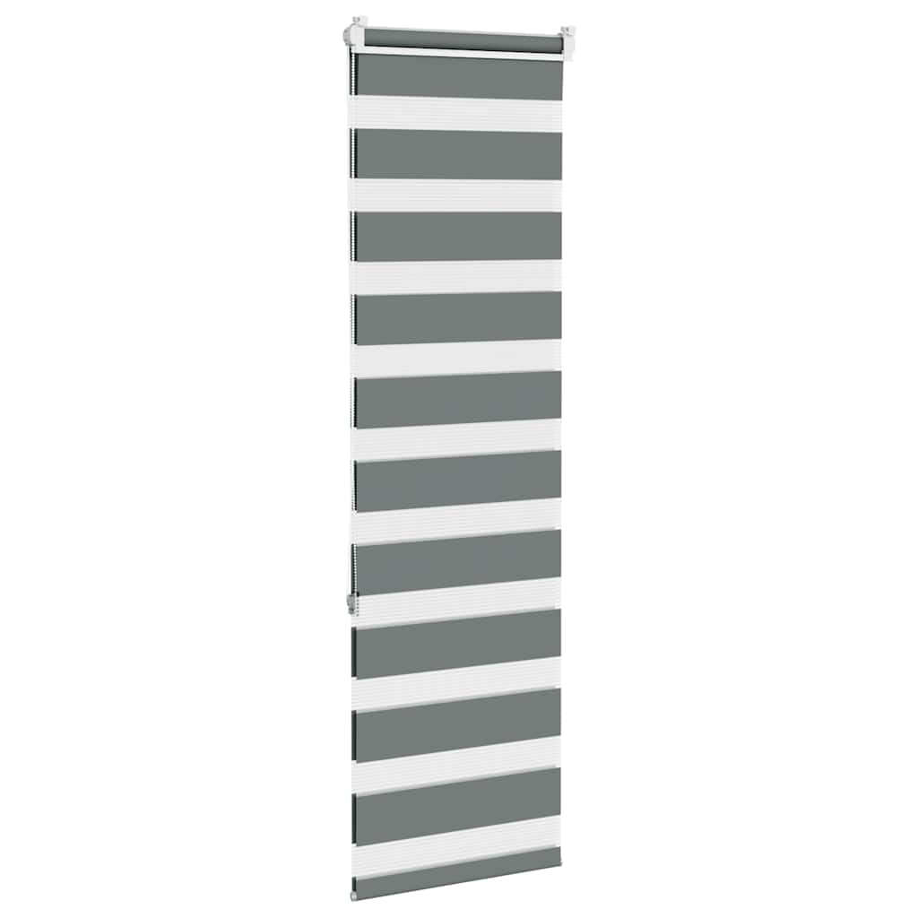 Zebra-Rollo