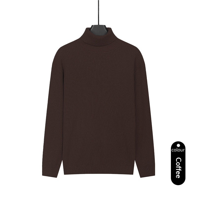Herren Rollkragenpullover aus Strick
