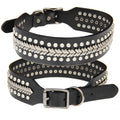 Hundehalsband mit Nieten | LuxeStyle