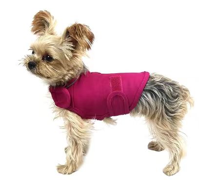 Beruhigende Hunde-Bekleidung für Trennungsangst