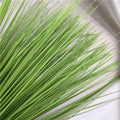 Deko-Ziergras "Onion Grass" 60 cm