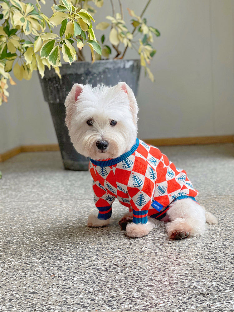 Weisses Wollpullover für Hunde und Katzen – Bild 13 | LuxeStyle