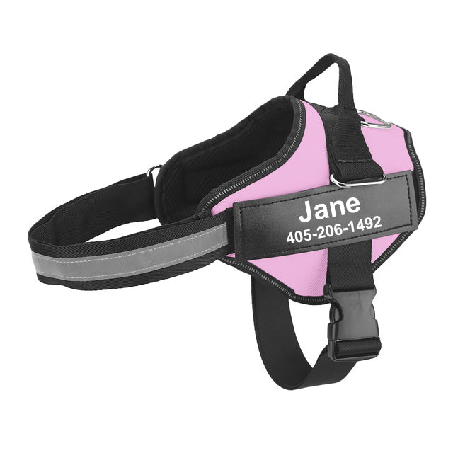 Mehrfarbiger Hundehalsband mit Zugseil – Bild 6 | LuxeStyle