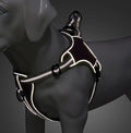 Reflektierendes Hunde-Brustgeschirr | LuxeStyle