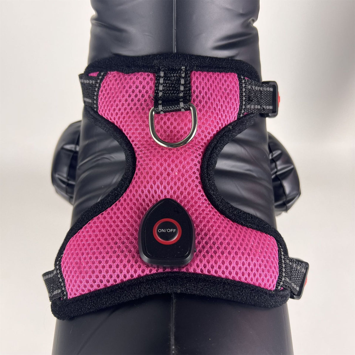Leuchtendes Haustiergeschirr mit USB-Ladefunktion | LuxeStyle