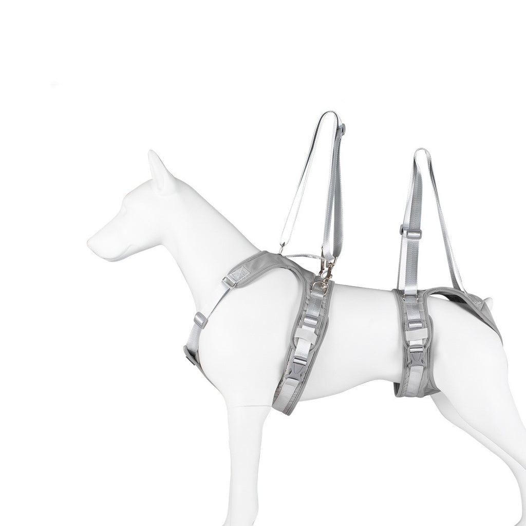 Brustgurt für gehandicapte Hunde – Bild 11 | LuxeStyle