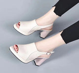 Farbe: Beige-Weiss 8 cm