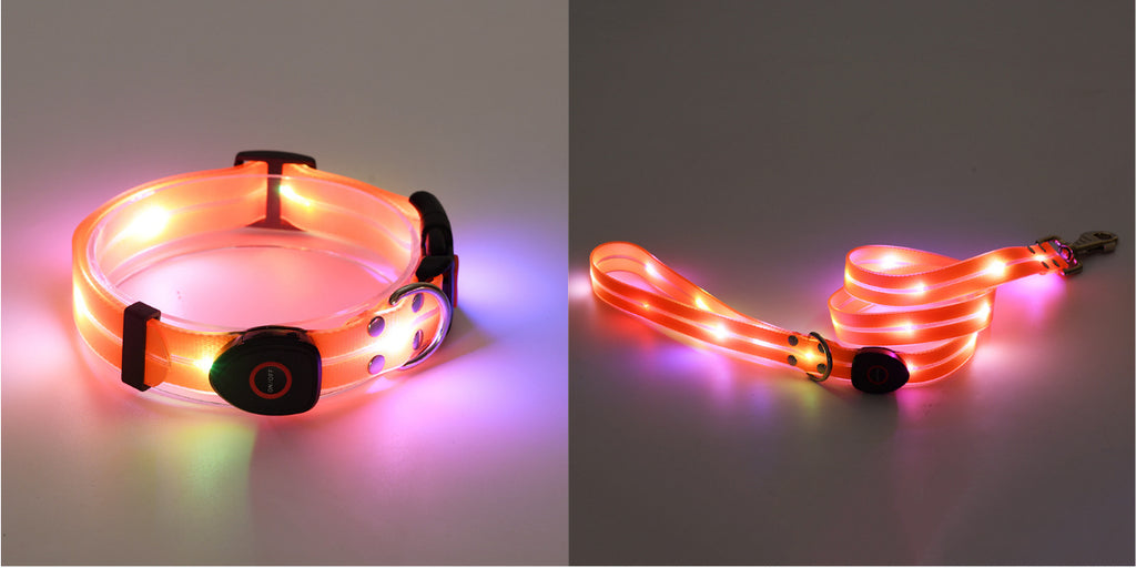 LED Leuchtcollar mit Zugleine, wiederaufladbar – Bild 2 | LuxeStyle