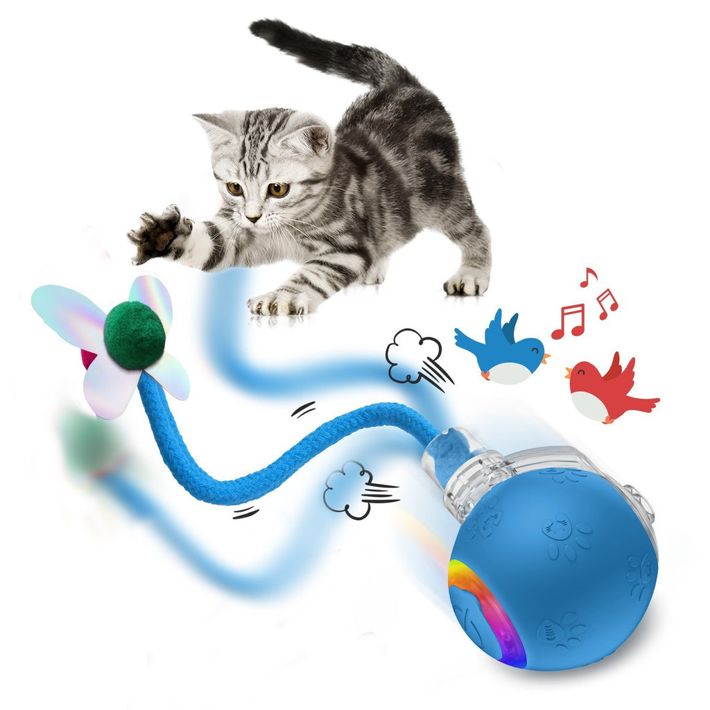 Interaktiver Spielball für Katzen