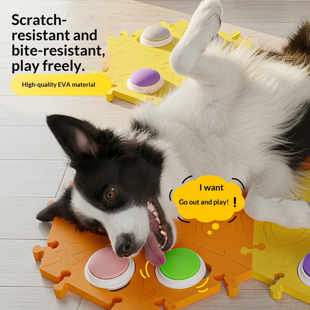 Sprechender Hunde-Trainingsknopf