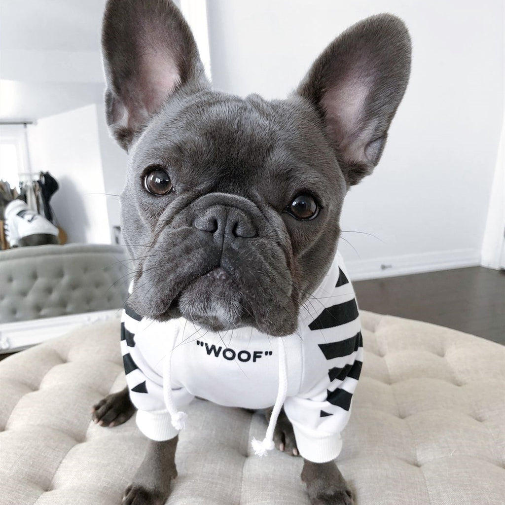 Hundepullover im Sport-Design