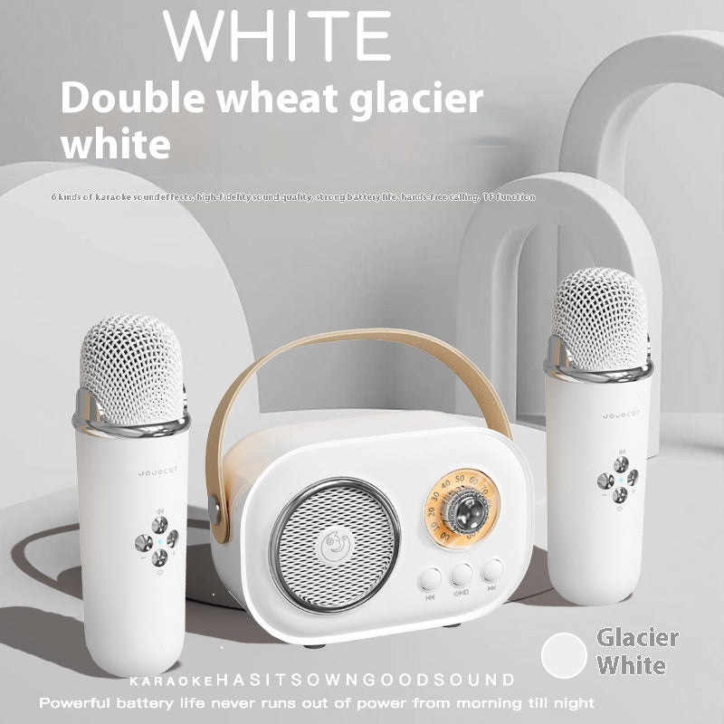 Portables Bluetooth Audio mit kabellosem Mikrofon