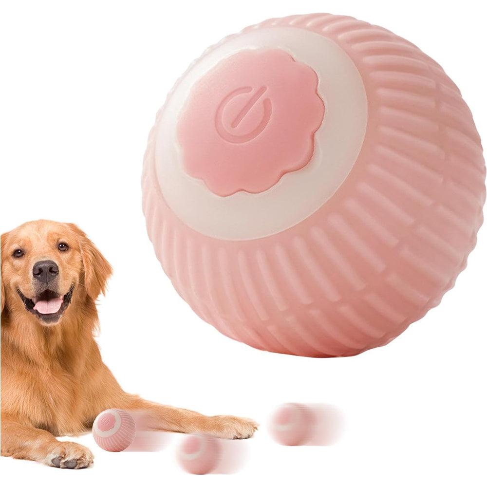Interaktiver rollender Ball für Haustiere