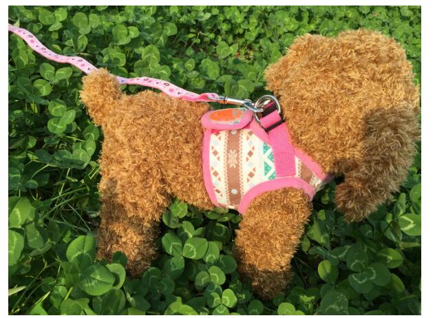 Hüftgurt für Hunde mit Streifenmuster | LuxeStyle