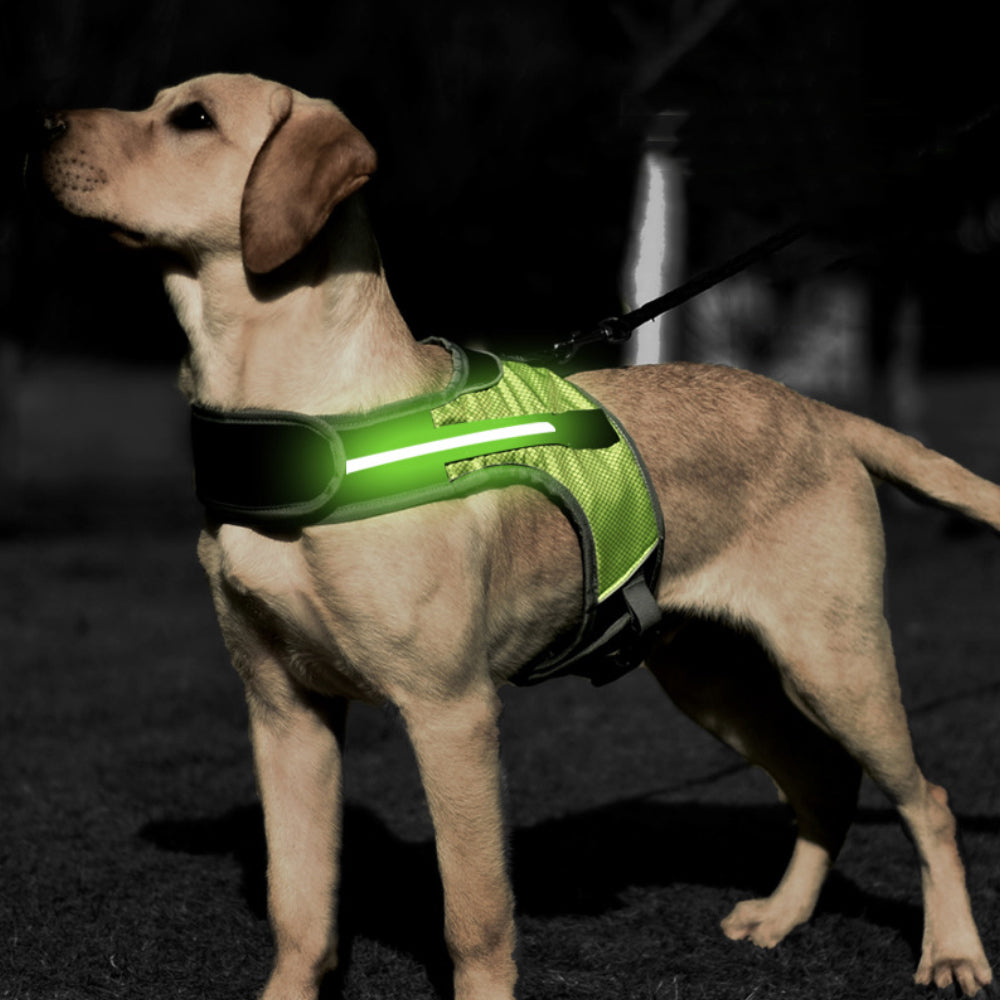 LED-Brustgeschirr für Hunde – Bild 2 | LuxeStyle