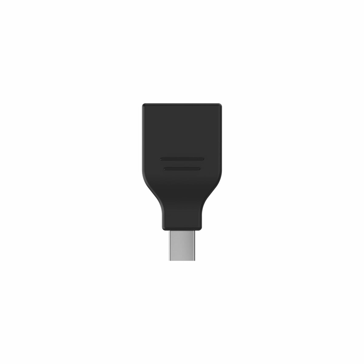 Tauche ein: Gaming in neuen Dimensionen