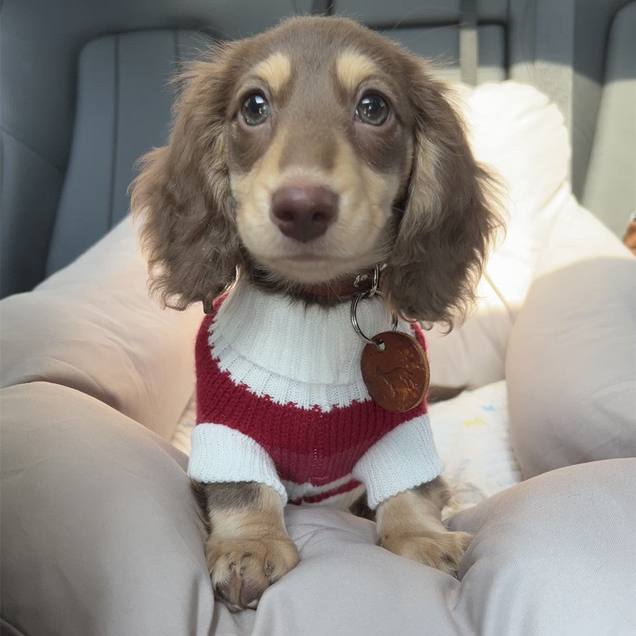 Rotes und weisses Streifenpullover für kleine Hunde – Bild 2 | LuxeStyle