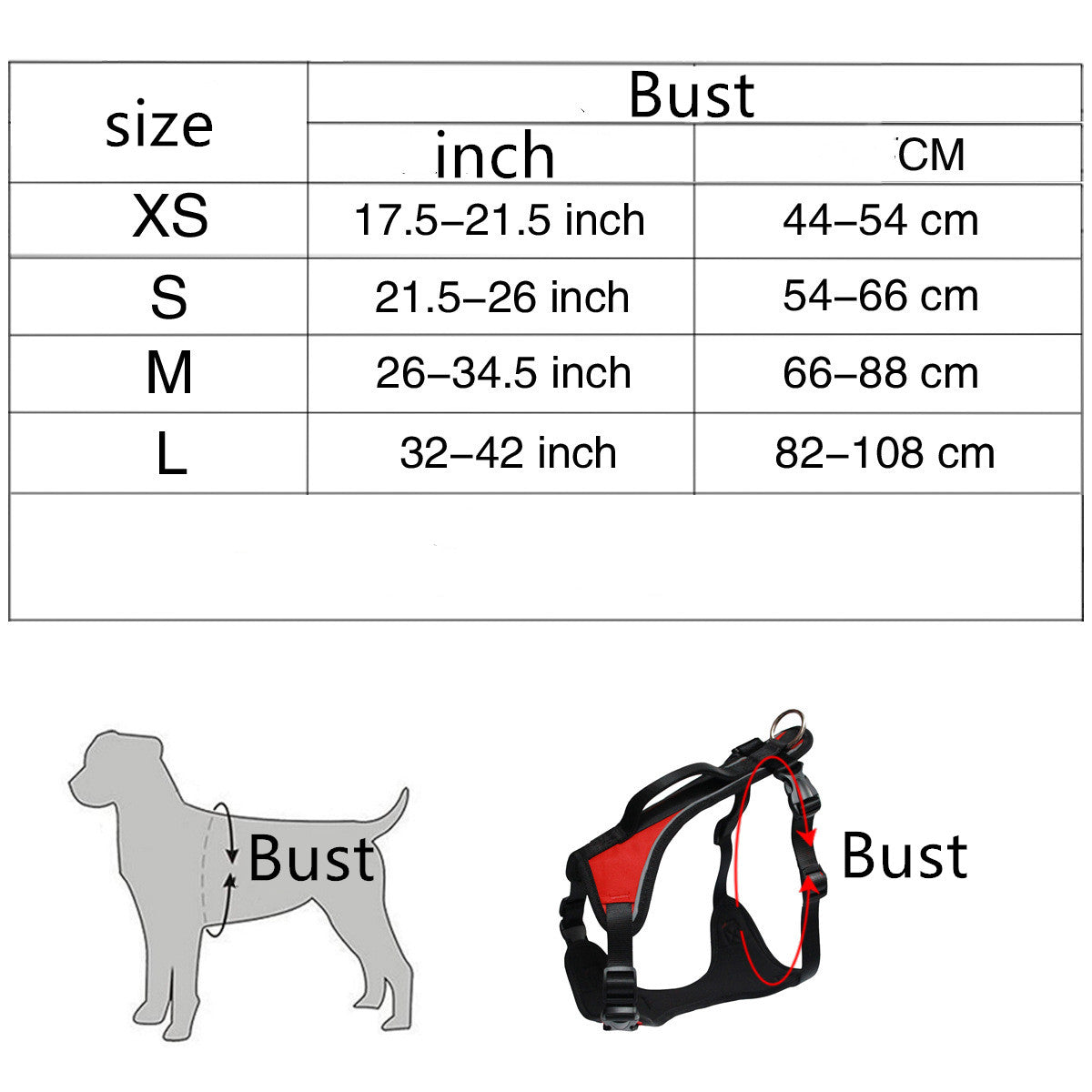 Thoracolumbales Brustband für Hunde – Bild 3 | LuxeStyle