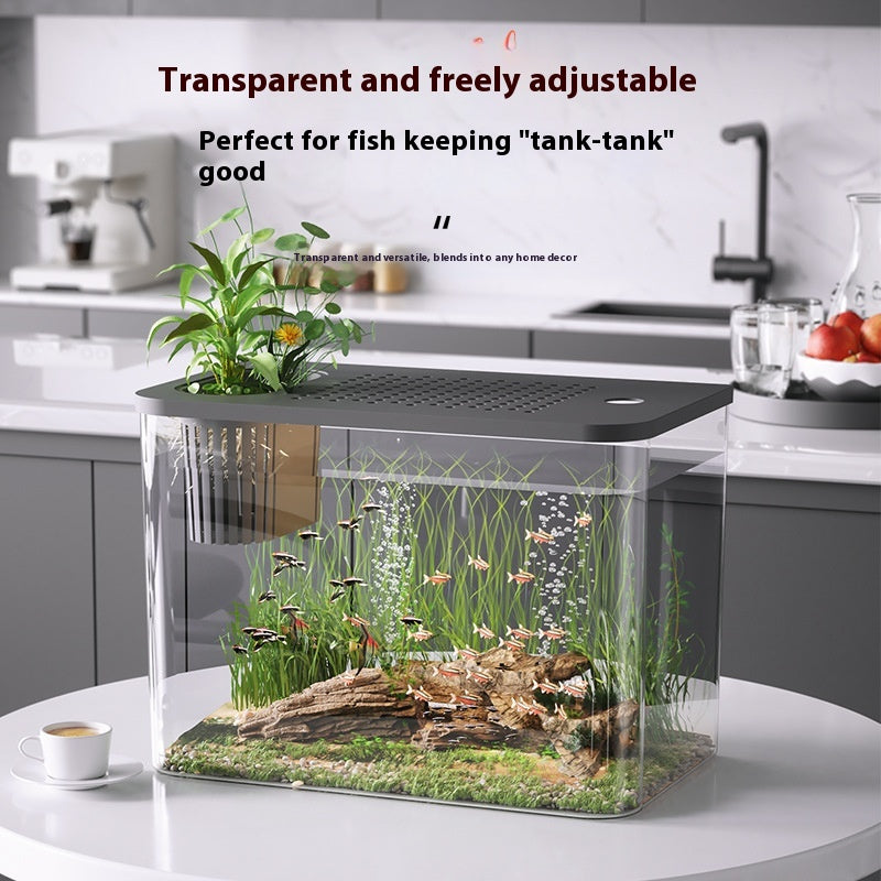 Mini-Betta-Aquarium für Wohnzimmer