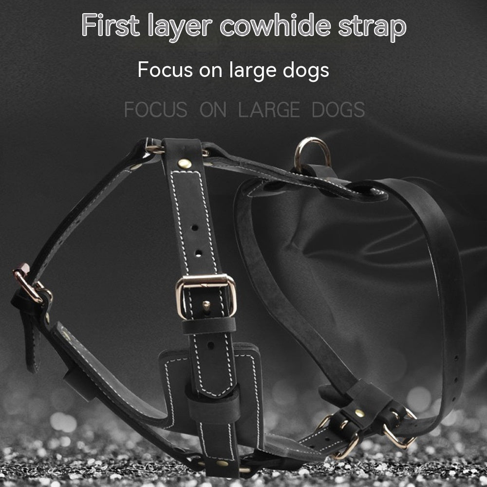 Leder-Brustgeschirr für Hunde | LuxeStyle