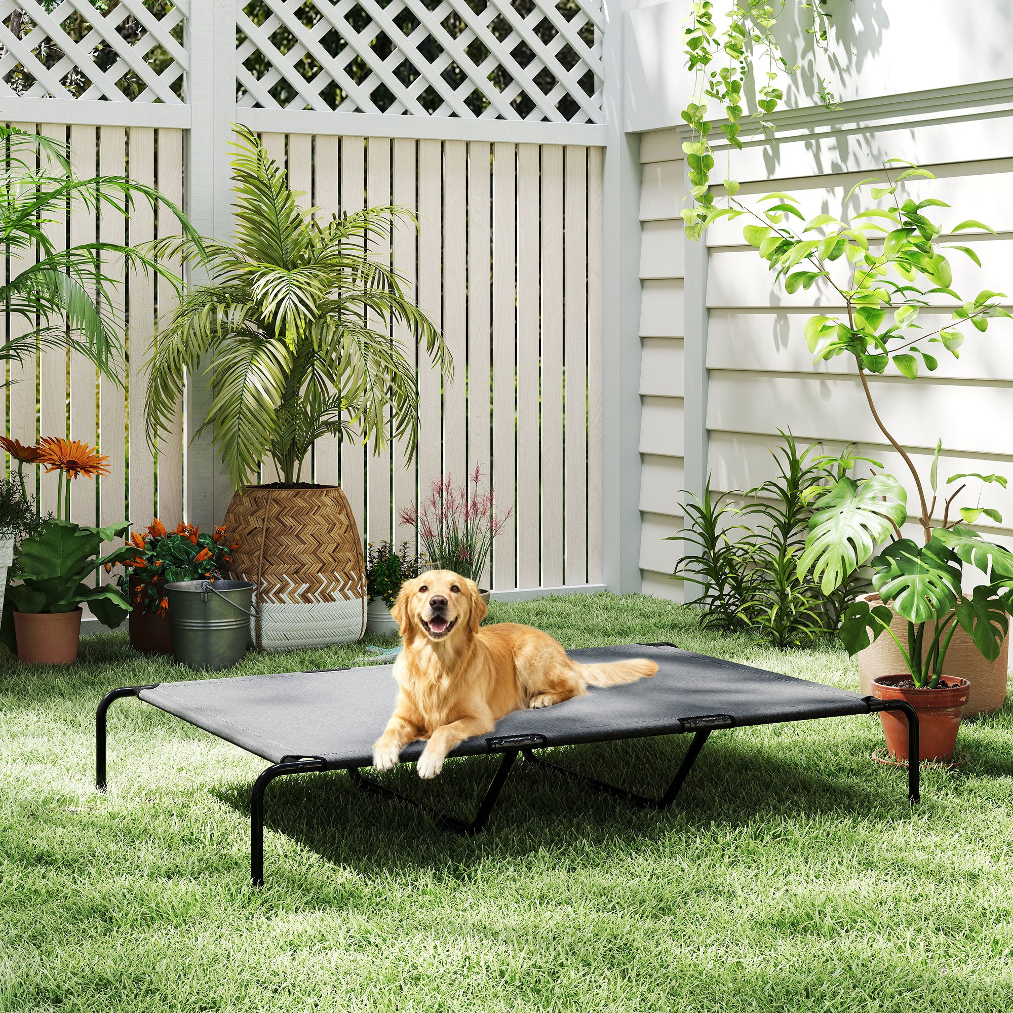 Erhöhtes Hundebett für grosse Hunde, Grau